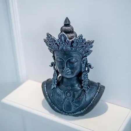 Casa Habitat Timisoara