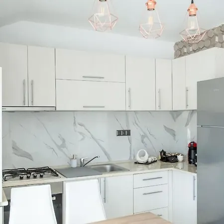 Villa Casa Habitat Timisoara