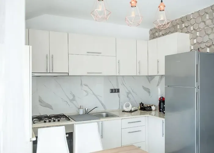 Villa Casa Habitat Timişoara